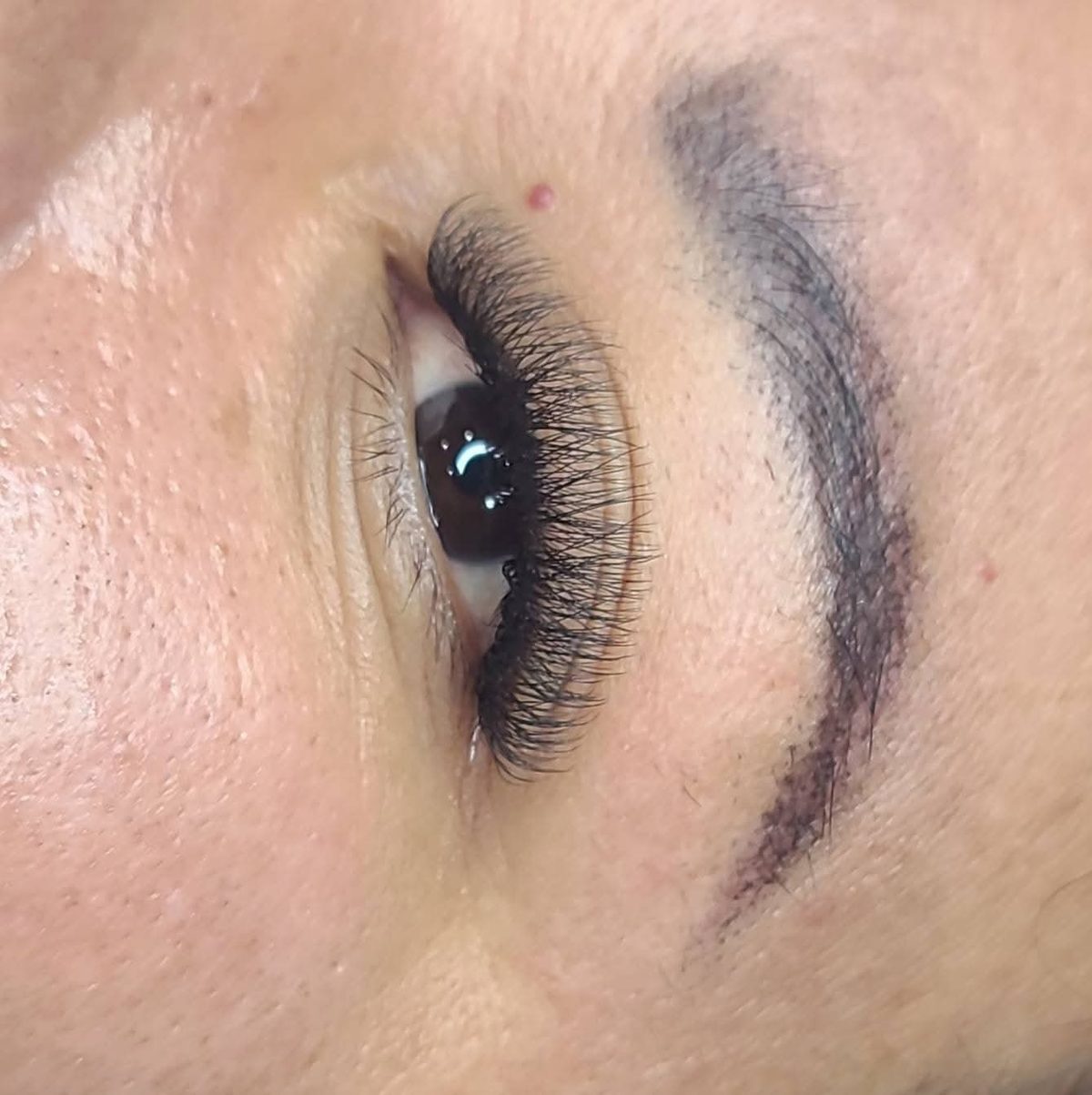 Close-up of a volume lash set